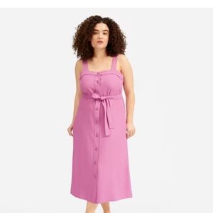 Everlane Japanese GoWeave Picnic Dress